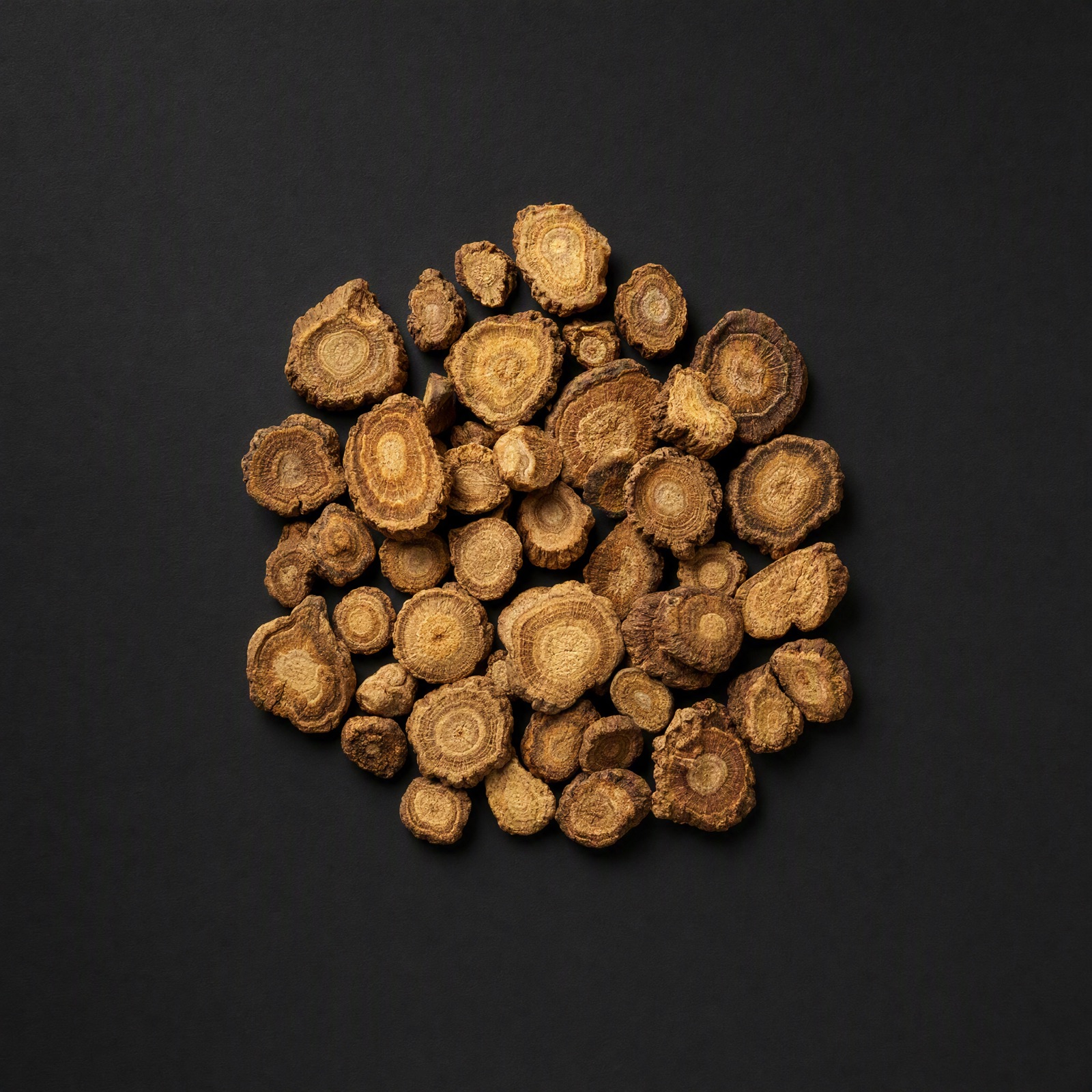Angelica Root