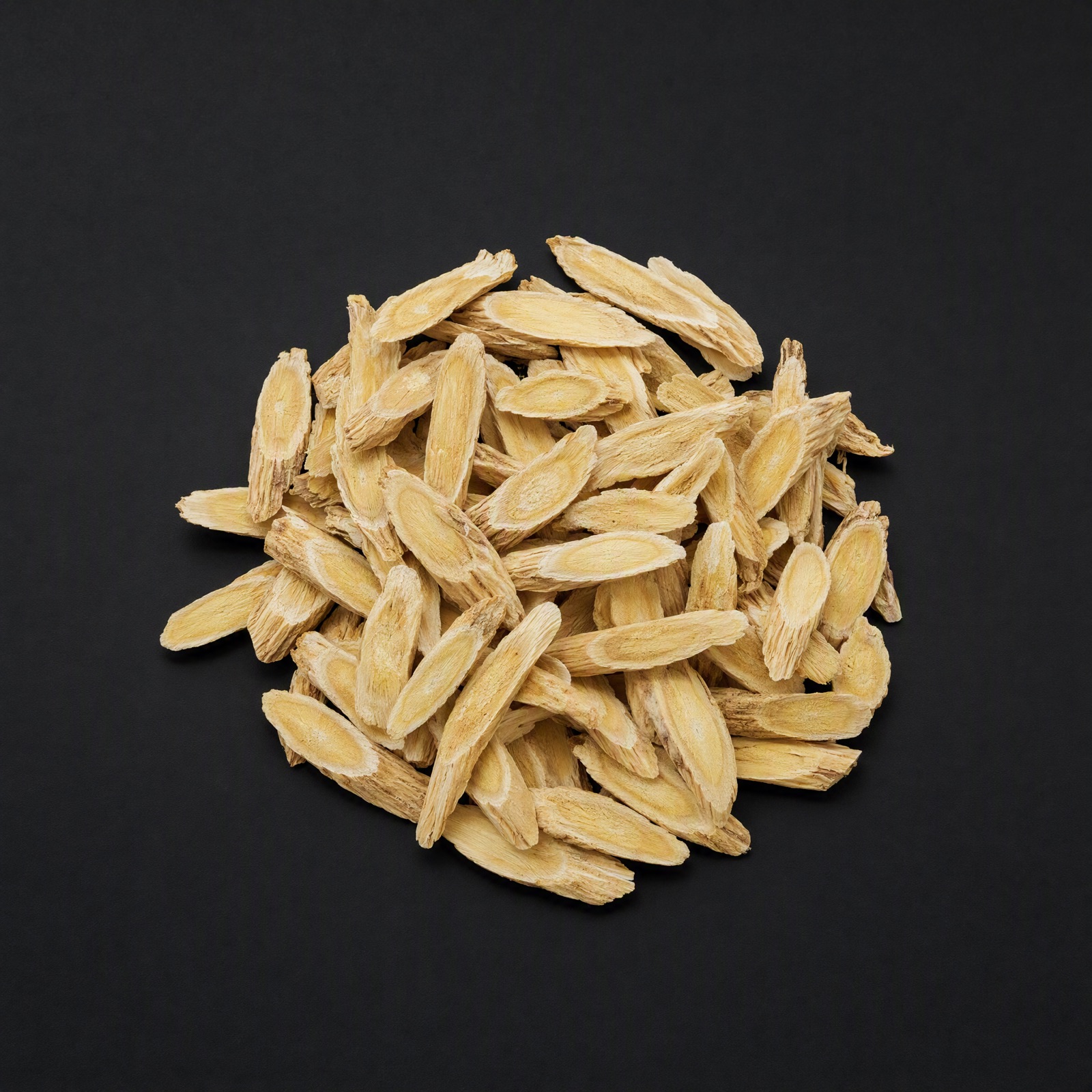 Astragalus